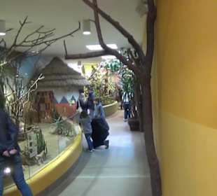 Südamerika Bereich - Löwenhaus