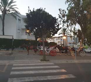 Stadtrundfahrt Alcudia