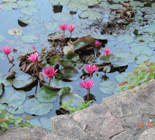 Höhlentempel Außenbereich