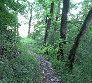 Burgruine Andeck Talheim