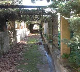 Gartenanlage - Botanischer Garten