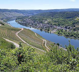 Wandern Zeltingen-Rachtig