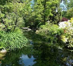Japanischer Garten Leverkusen