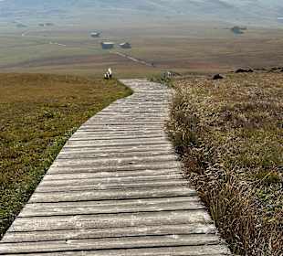 Wandern Compatsch