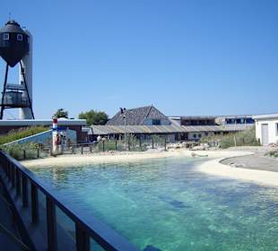 In der Seehundaufzuchtsstation!