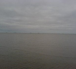 Tagesausflug: Fahrt mit der Fähre nach Föhr