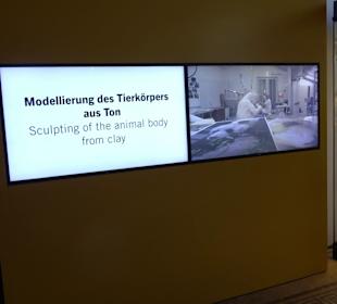 Museum für Naturkunde