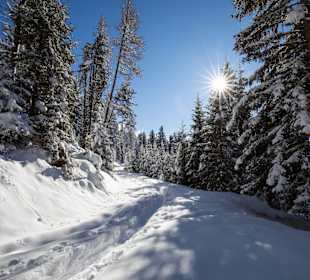 Wandern Nova Ponente / Deutschnofen
