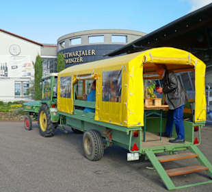 Hier trifft man den "Zitronenfalter"