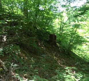 Wanderweg Sieben-Täler-Runde 