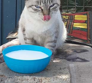 Strandpromenade Costa Adeje