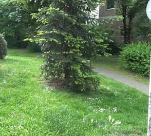 Park an der Mauritiuskirche