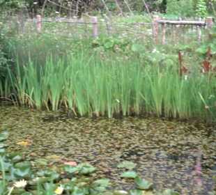 ALB-GOLD Naturgarten