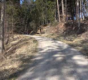 Geologischer Lehrpfad Kirnbachtal