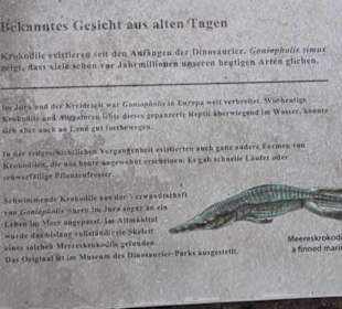 Dinosaurier Museum Altmühltal