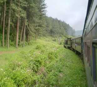 Zugfahrt durch die Highlands