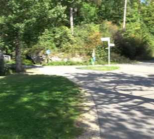 Schaukelweg an der Donau