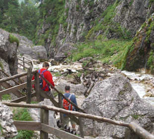 Silberkarklamm