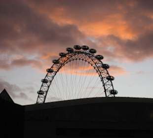 London Eye in der Abendstimmung