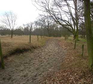 Naturschutzgebiet Boberger Niederung