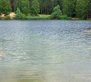 Im Sommer