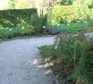 Botanischer Garten München