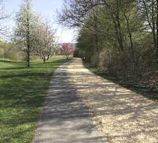 Sport- und Freizeitpark Markwasen