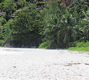 Wunderschöner Strand