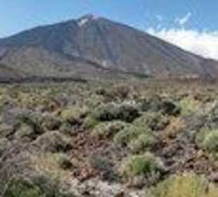Vip- Tour, Pico del Teide 3178m