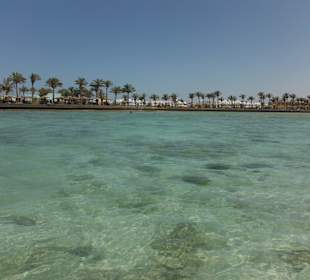 Hausriff, rechts von der Marina