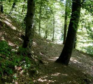 Hohlweg zum Beckenhof