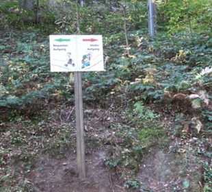 Triberger Wasserfälle