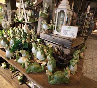 Frösche in allen Größen