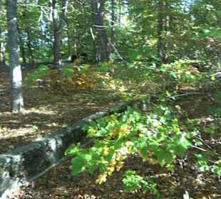 Ehemaliger Segelflug-Startplatz