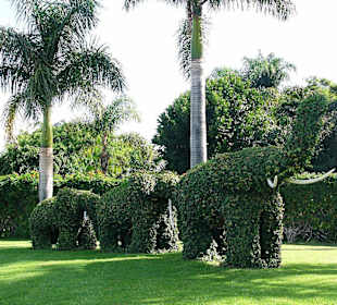 Loro Park