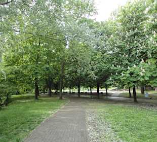 Park