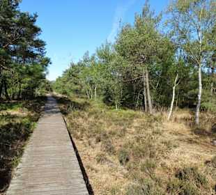 Impressionen vom Rundgang durch das Pietzmoor