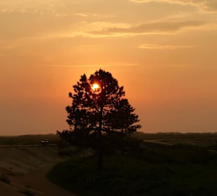 Abend am Deich in St. Peter Ording