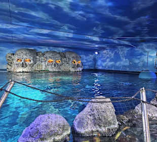 Sealife Aquarium 186-191