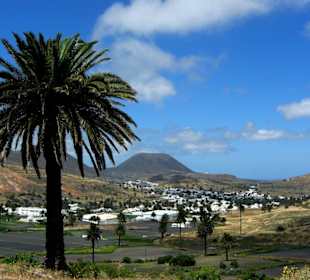 Im Tal der 1000 Palmen