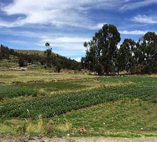 Jezioro Titicaca, Peru