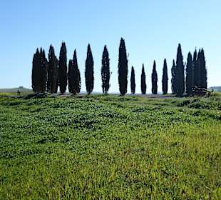 Wandern San Quirico D'Orcia