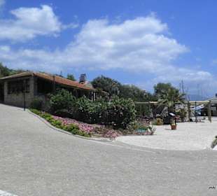 Anlage an der Hafenpromenade