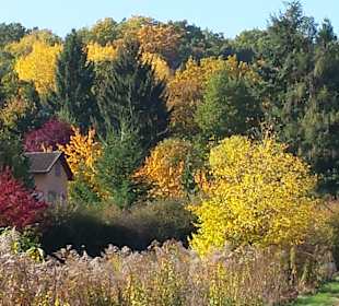 Wandern Bad Dürkheim