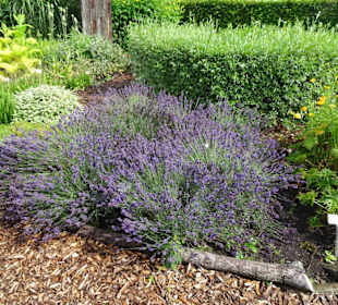 Eindrücke vom Rundgang durch den Park der Gärten