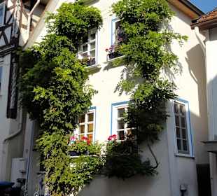 Impressionen aus der Altstadt von Fritzlar