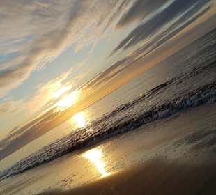 Strand Renesse
