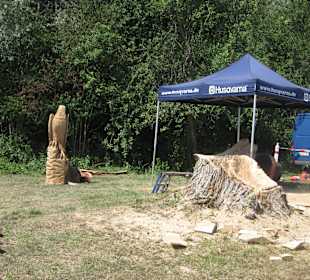 Kreativ Kettensägen am Rhein