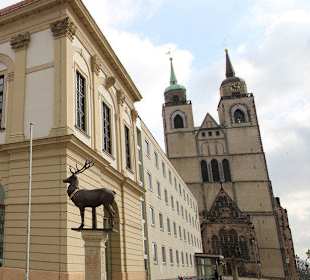 Hirschsäule und Johanniskirche am Alten Rathaus