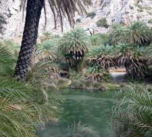 Entlang des Flusses